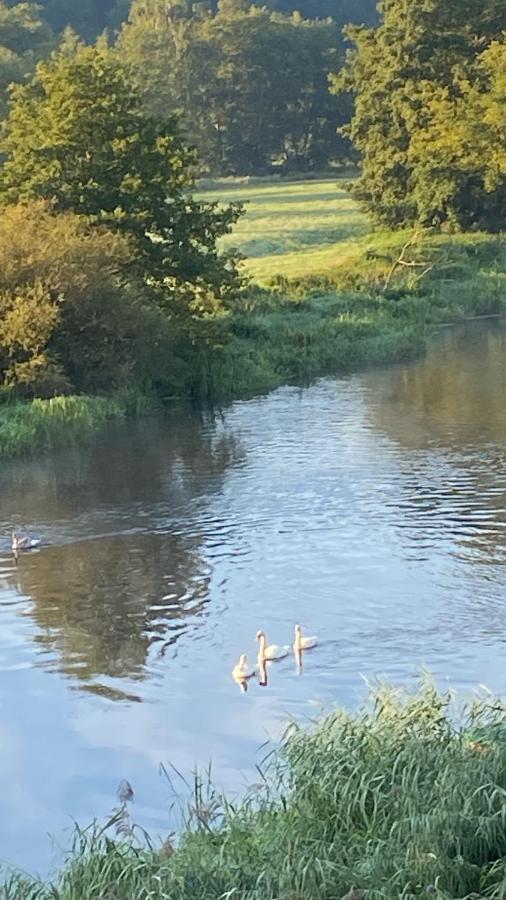 Idyllische Ferienwohnungen In Mossendorf Blick Zur Naab Burglengenfeld Esterno foto